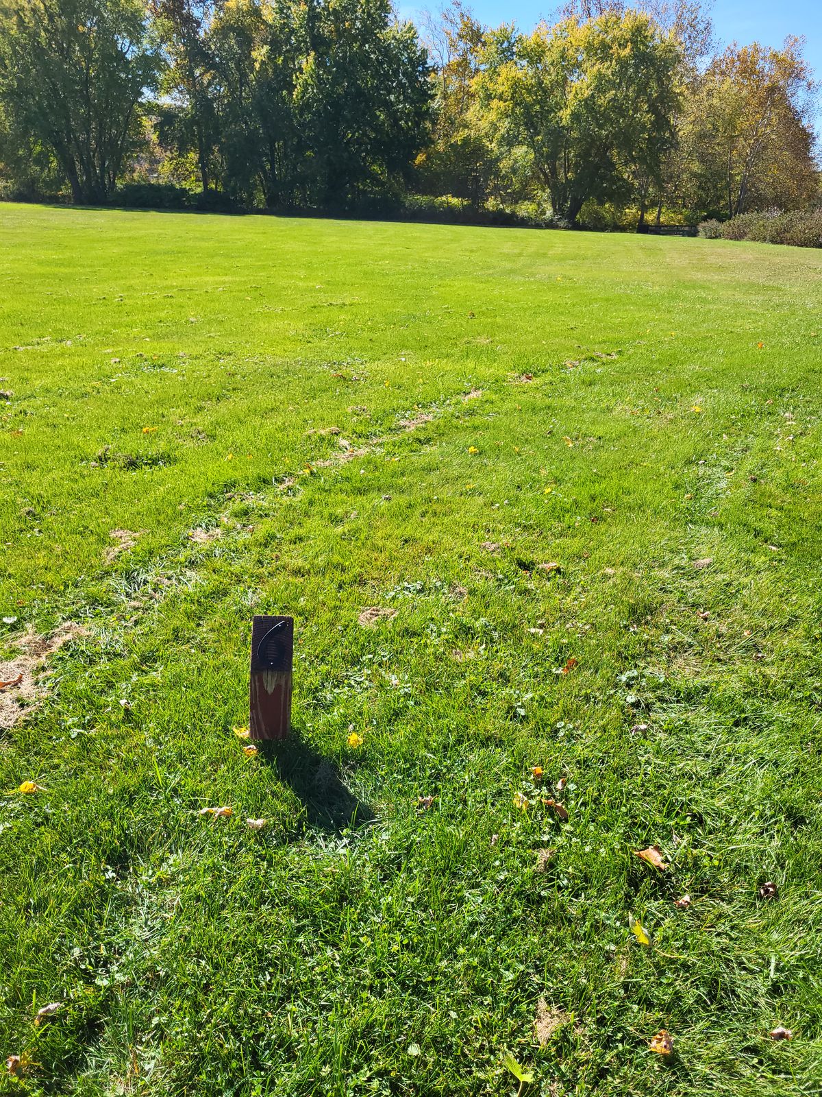 Hole 6 tee