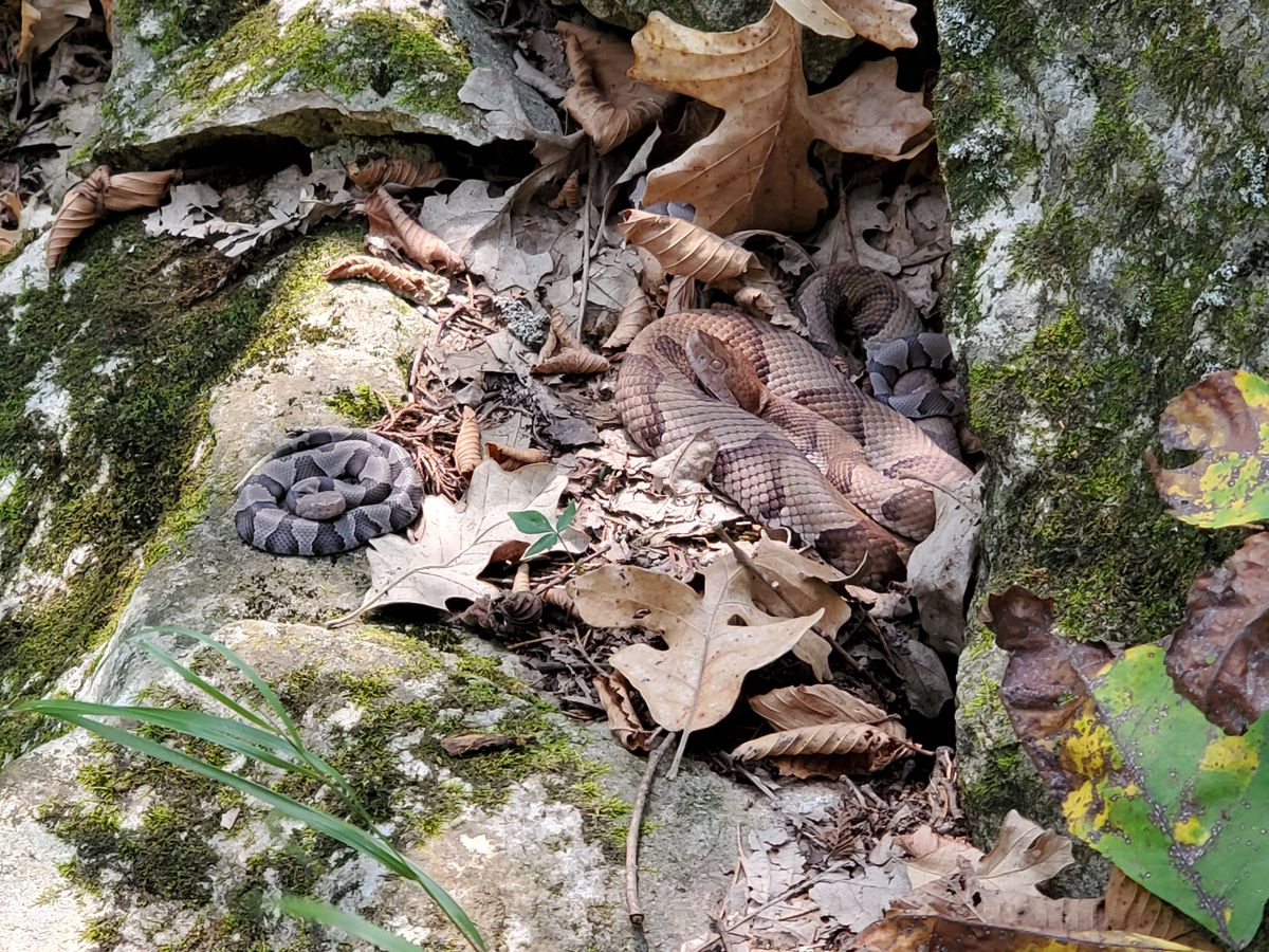 Watch your step on the rocks