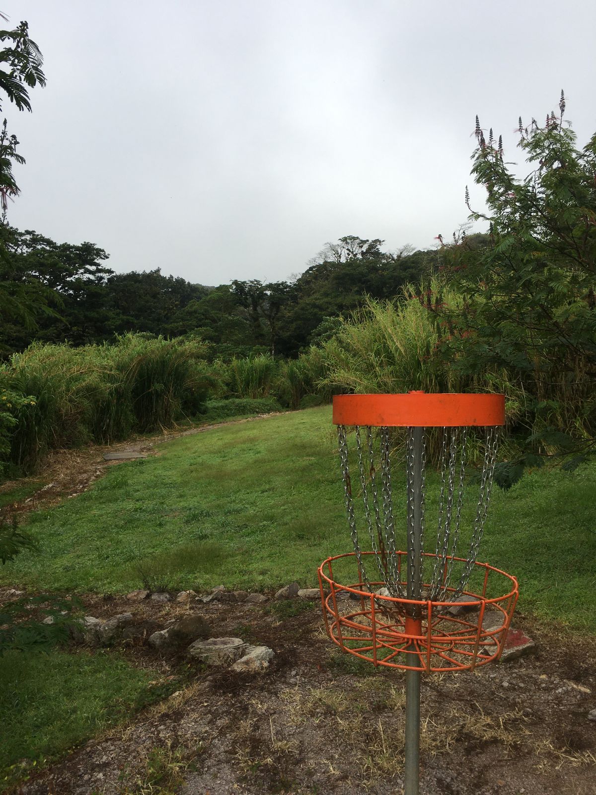 Hole 5 Basket to Tee