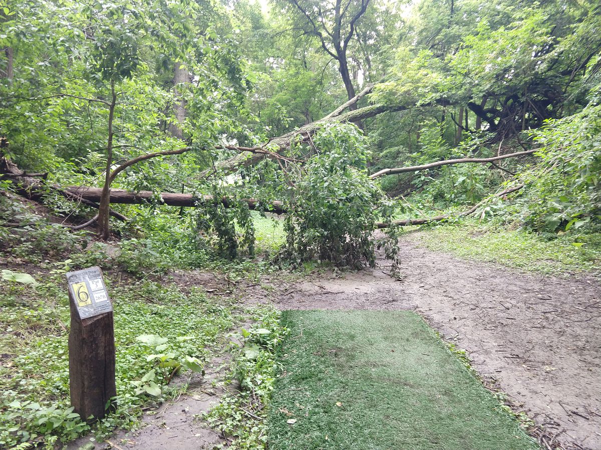 From tee 6, two downed trees.