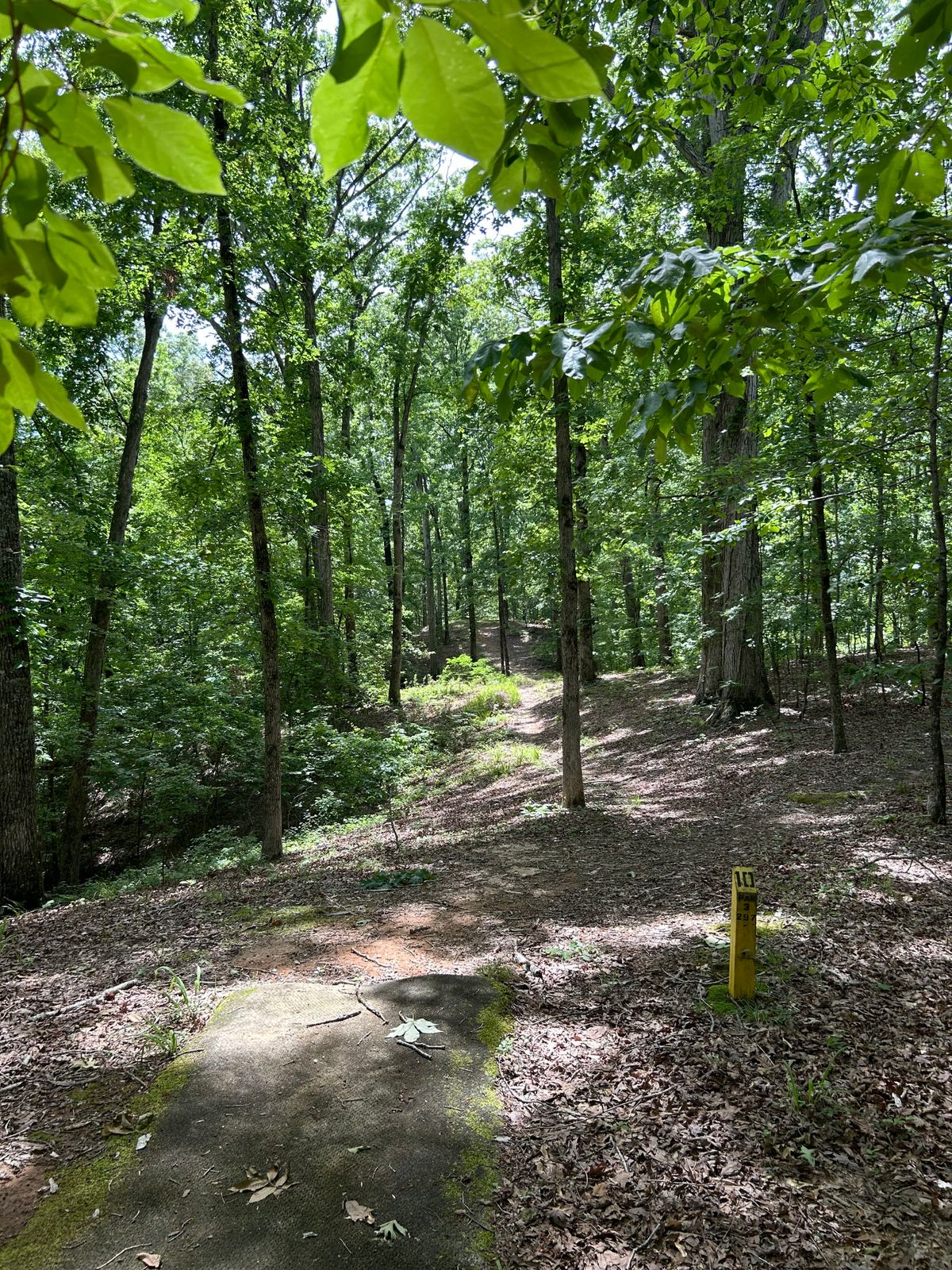 Hole #10