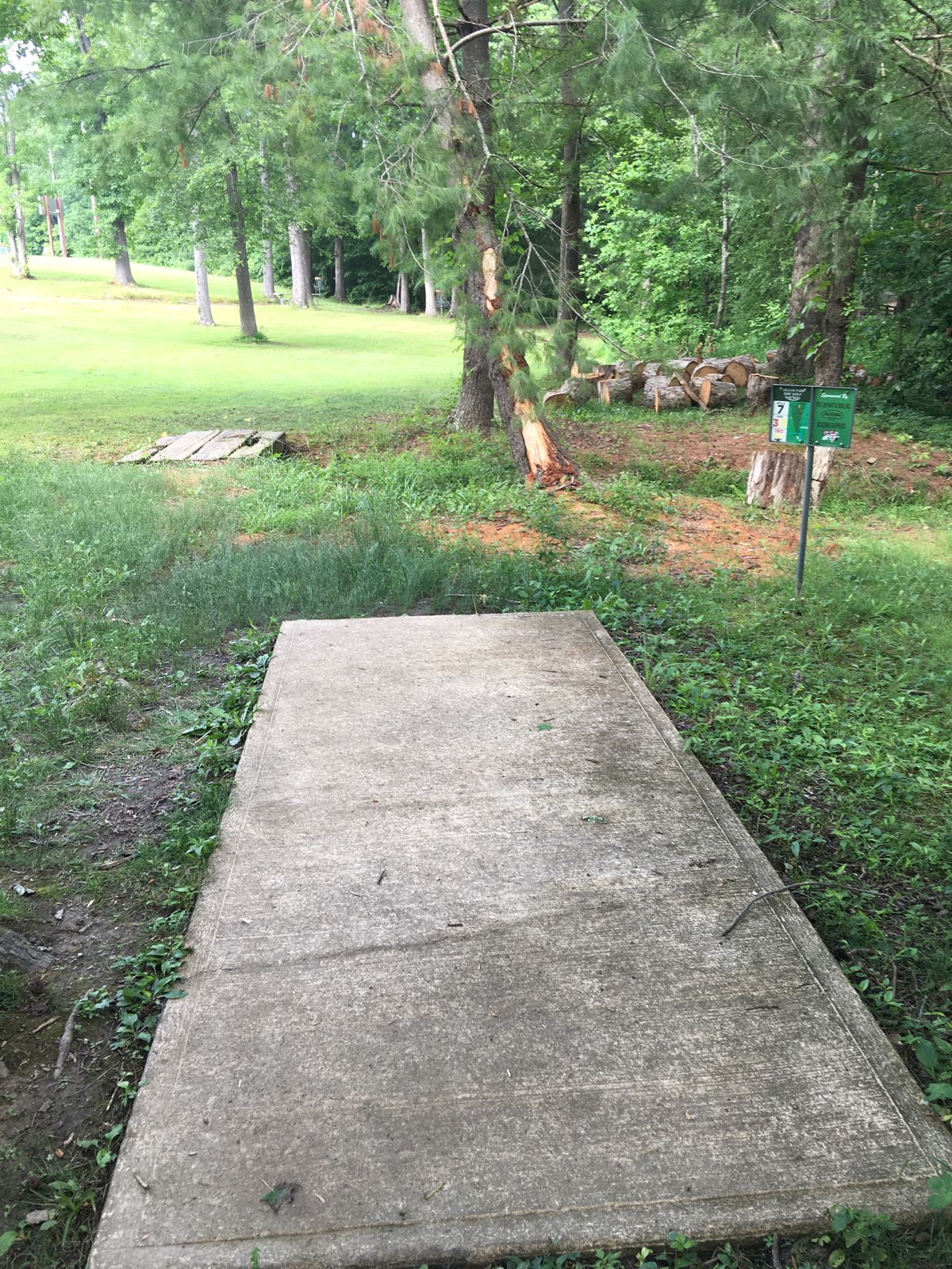 Hole 7