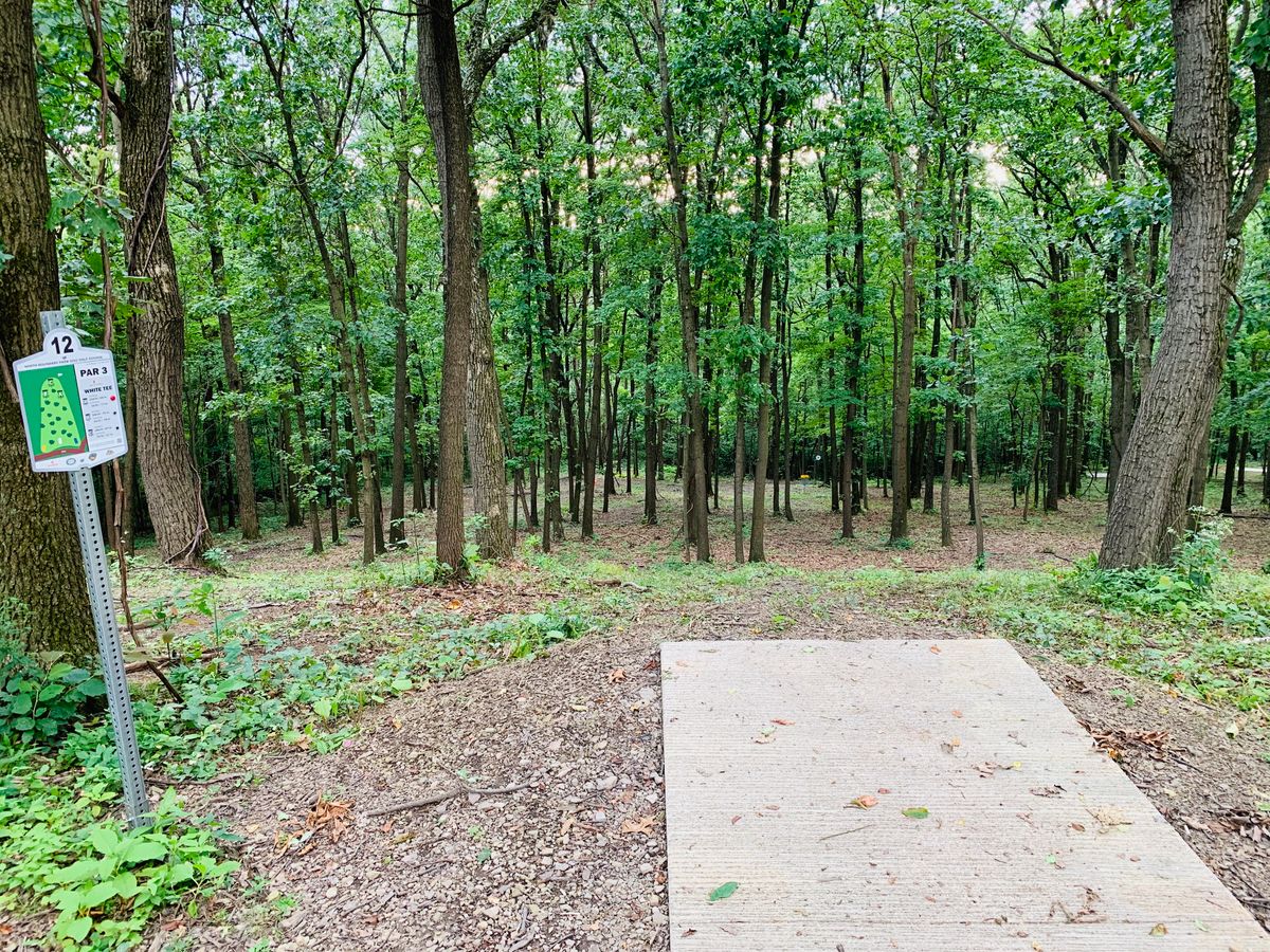 Hole 12 white tee