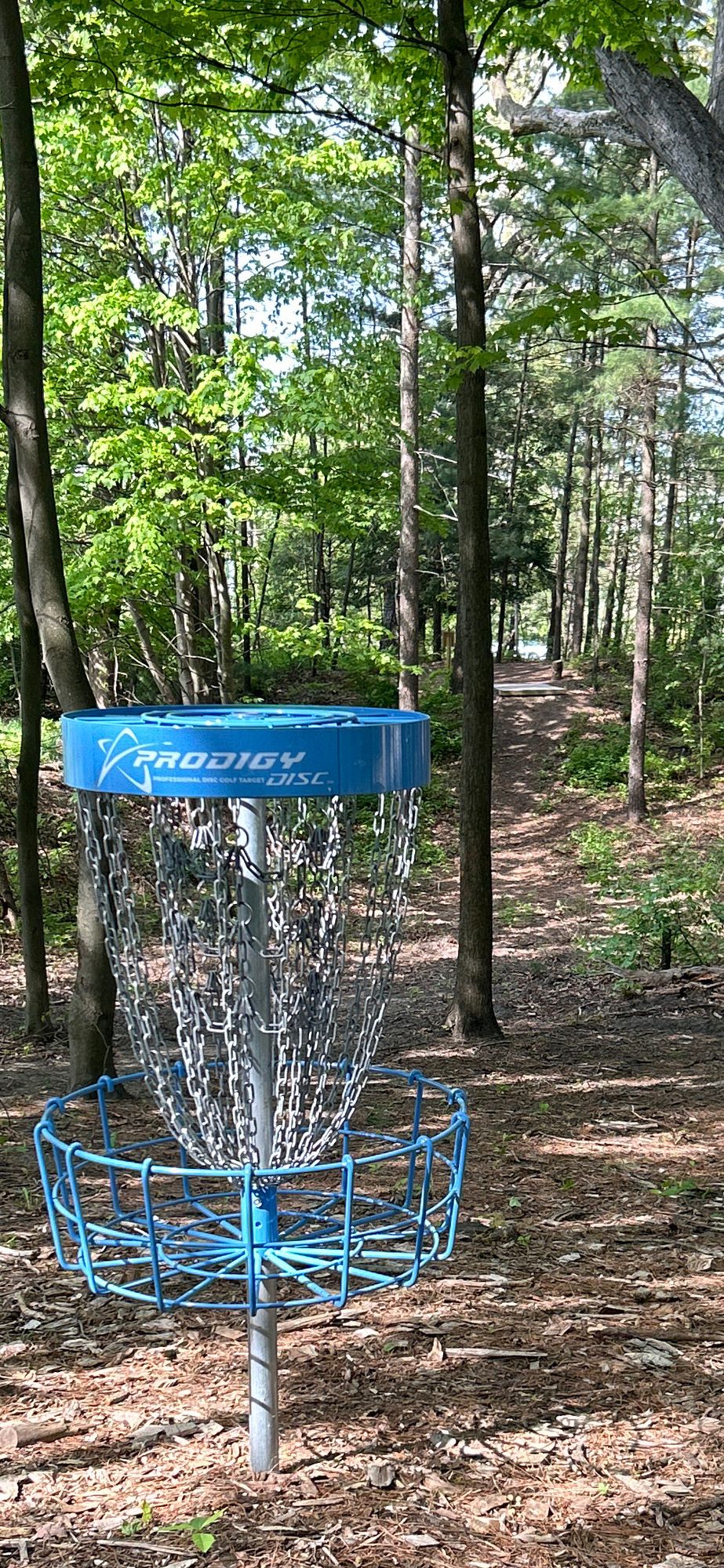 Hole #7 Basket