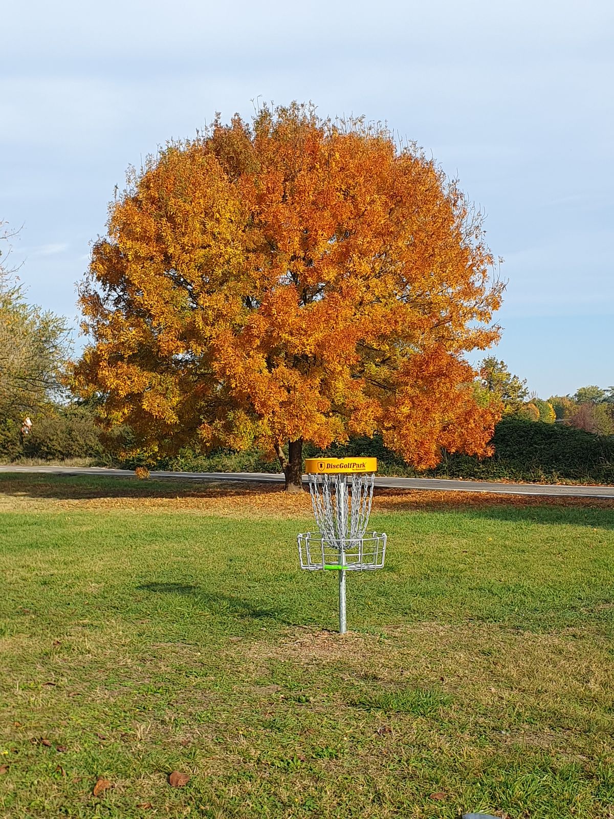 Hole 2 basket