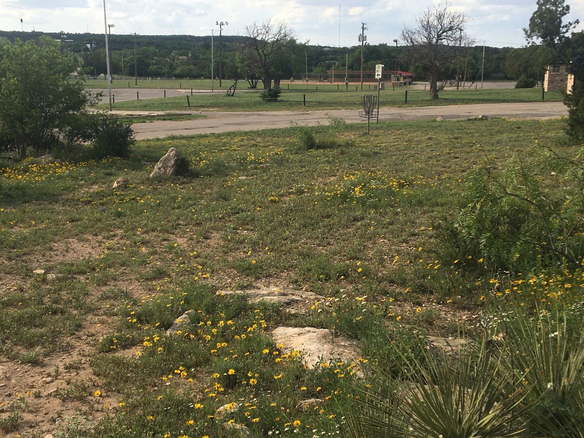 Hole 9 CTP Parkside pin
