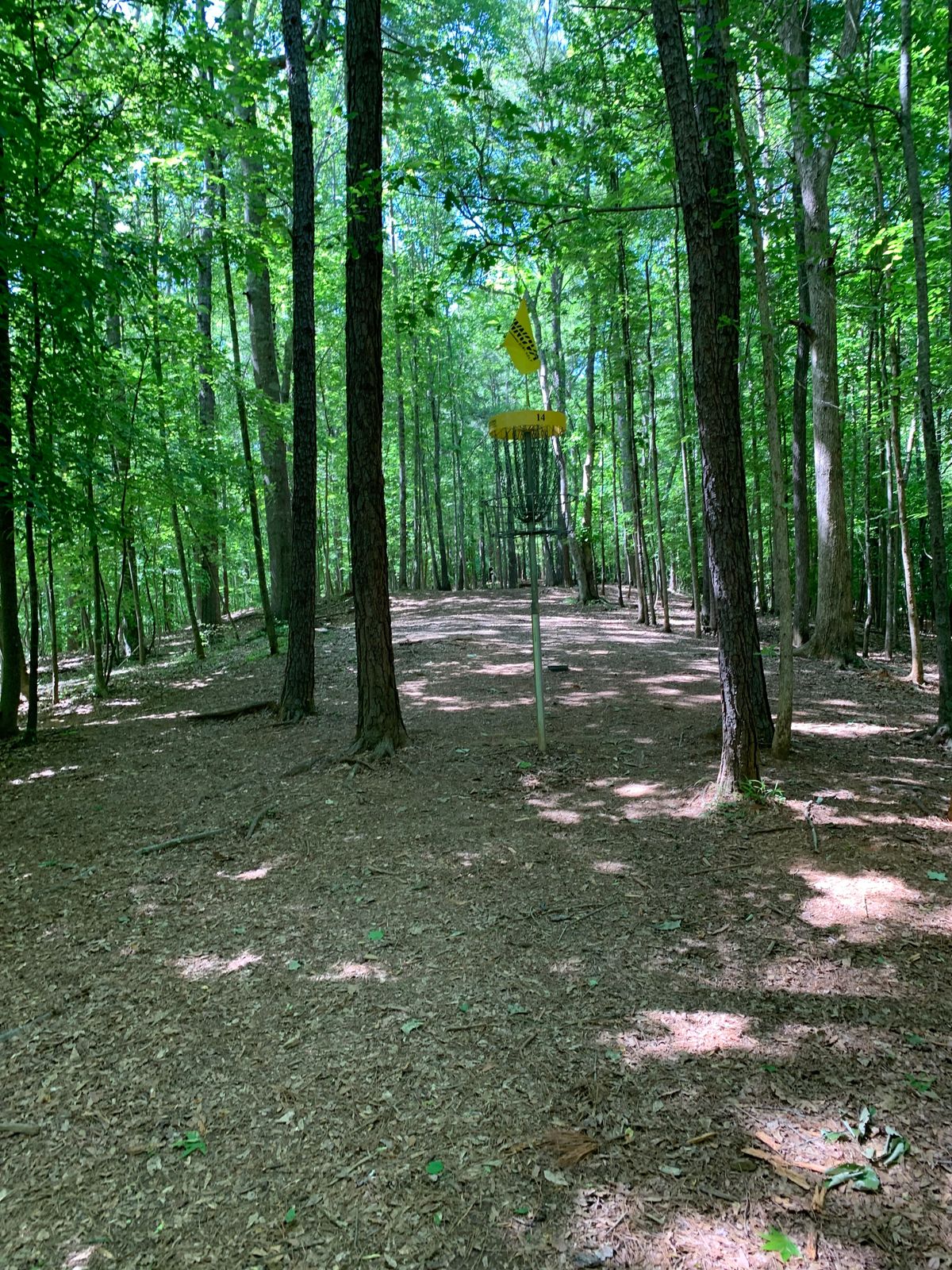 Hole 14 Basket!! INSANELY Elevated