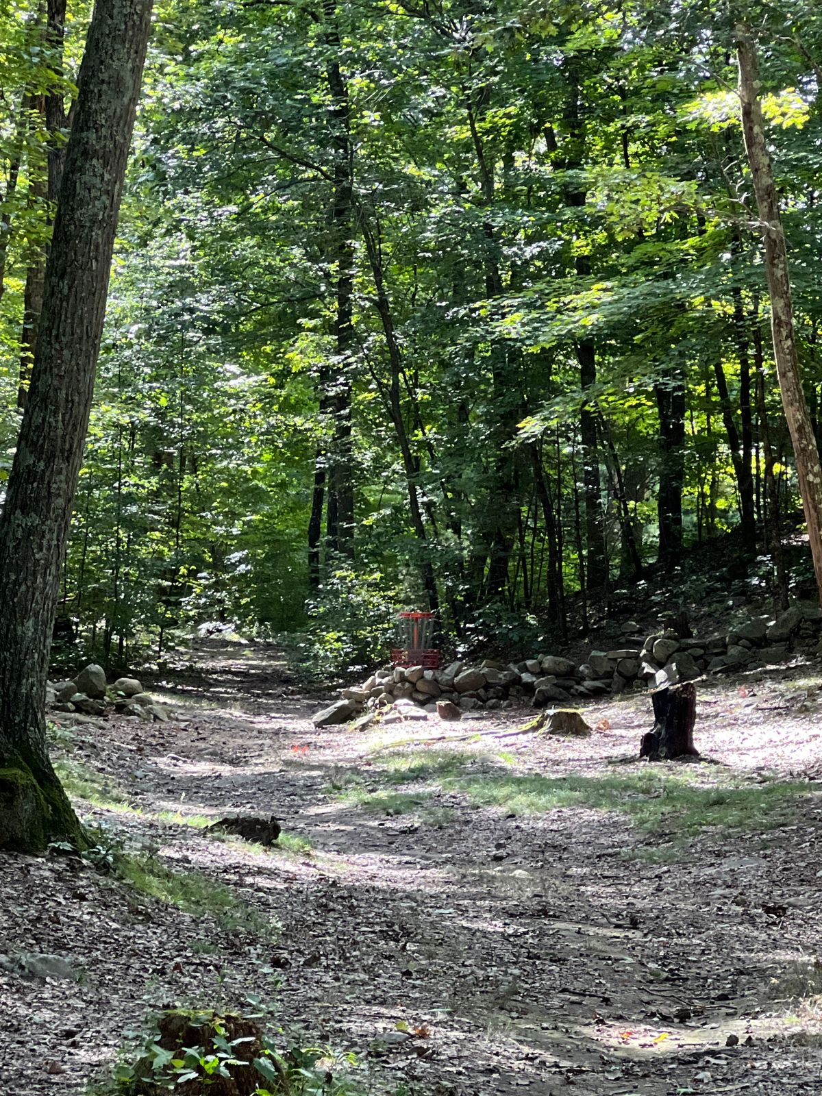 Hole 15