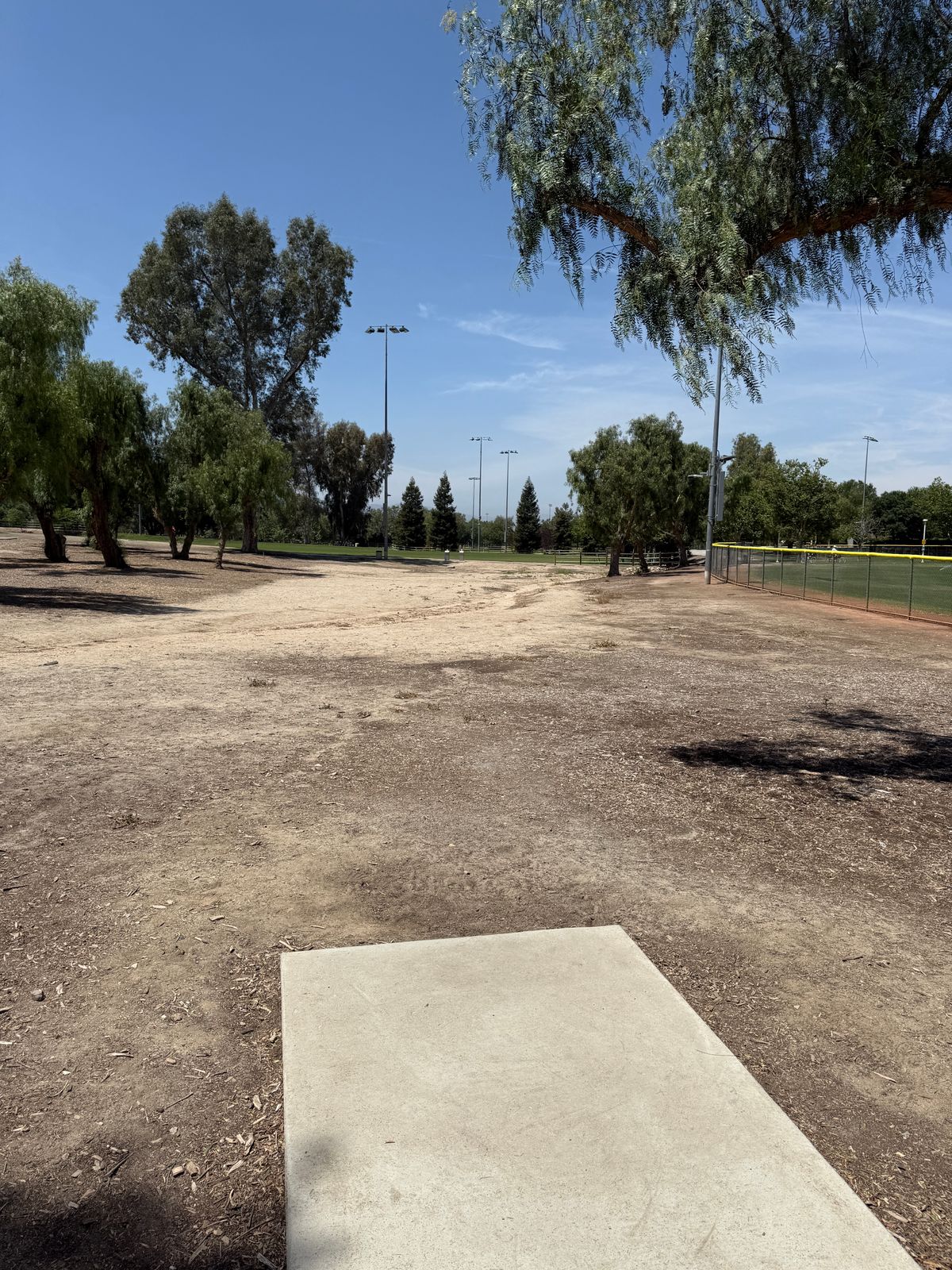 Hole 14 tee