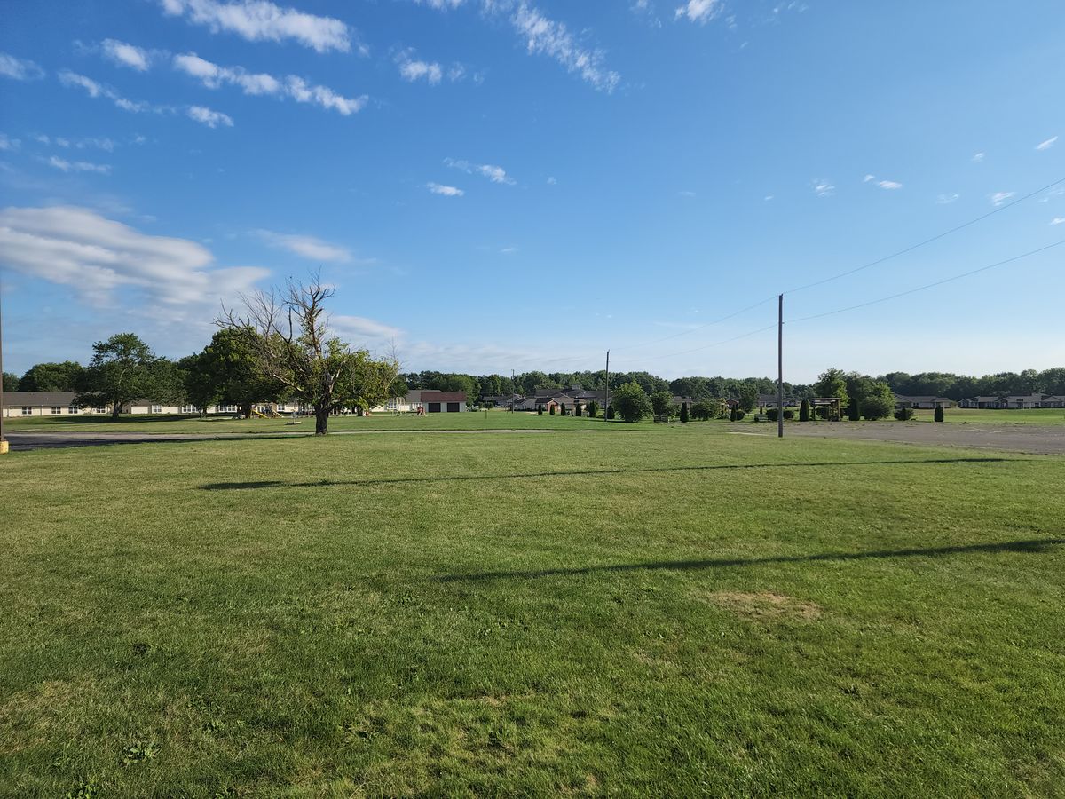 Wide open field
