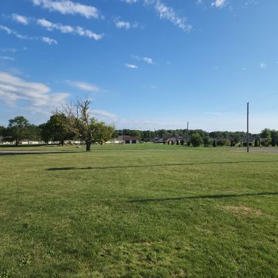 Wide open field