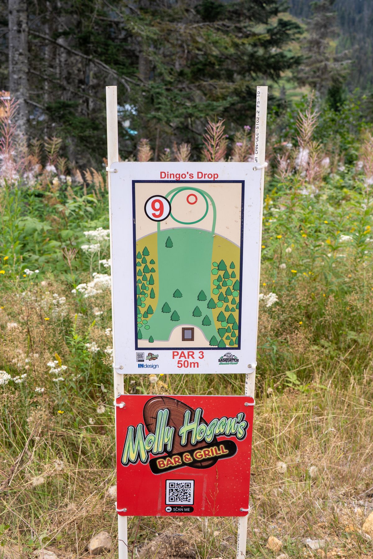 Hole 9