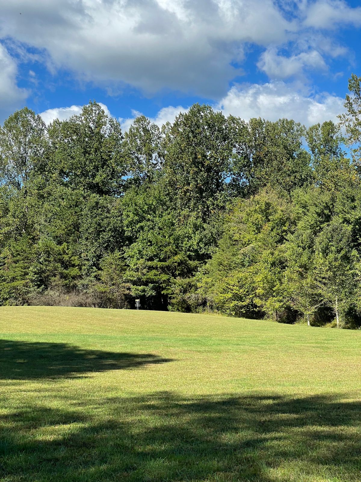 Alternate Hole 8
