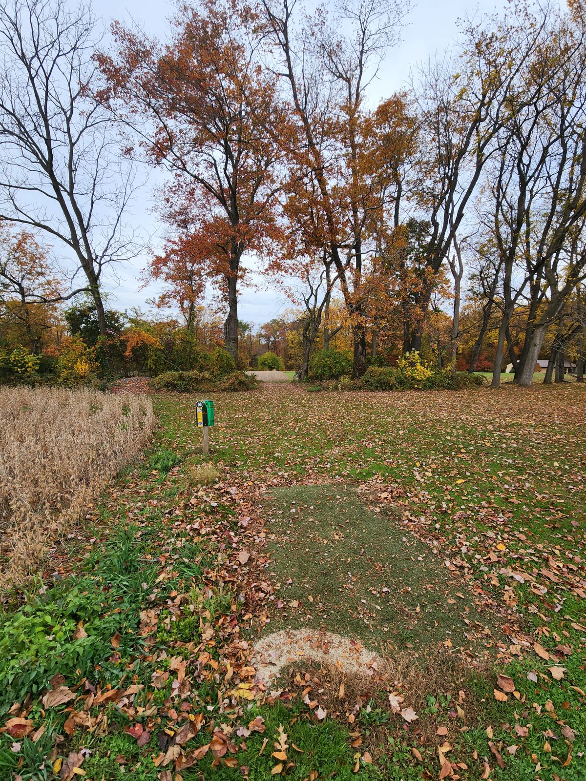Hole 4 tee pad