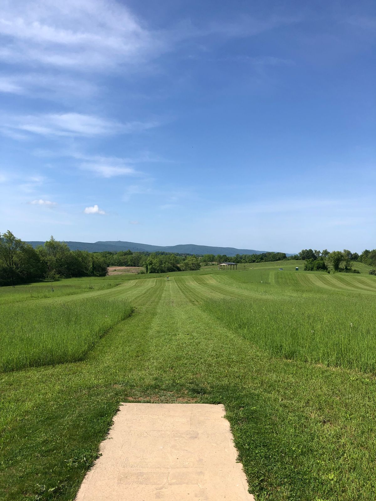 Hole 11 tee