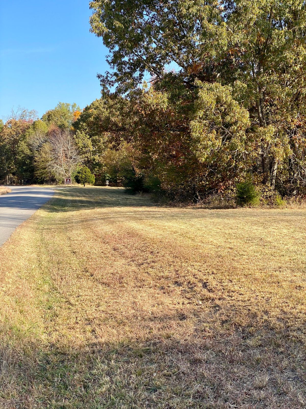 Hole 20 towards the basket