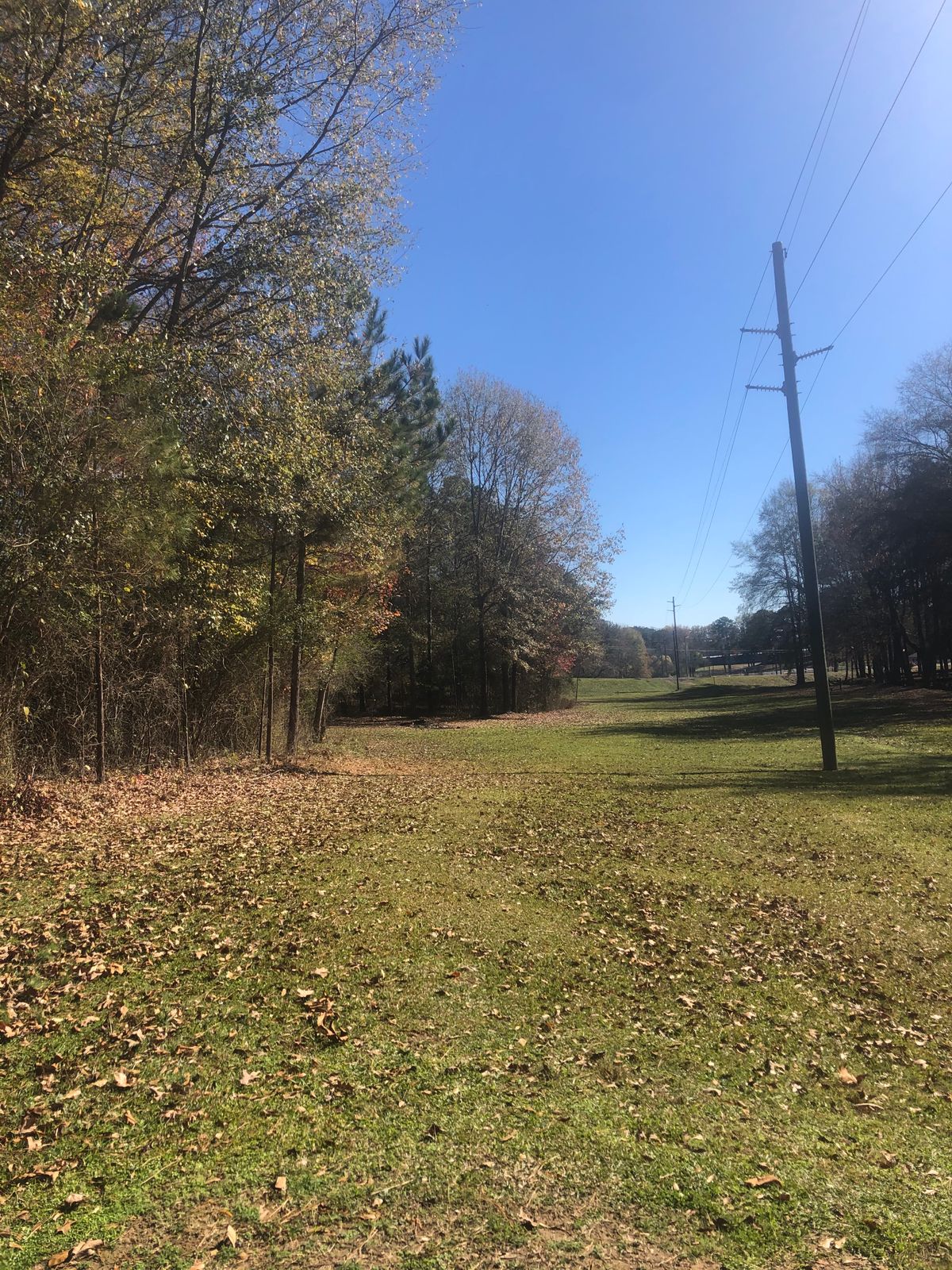 Hole 11