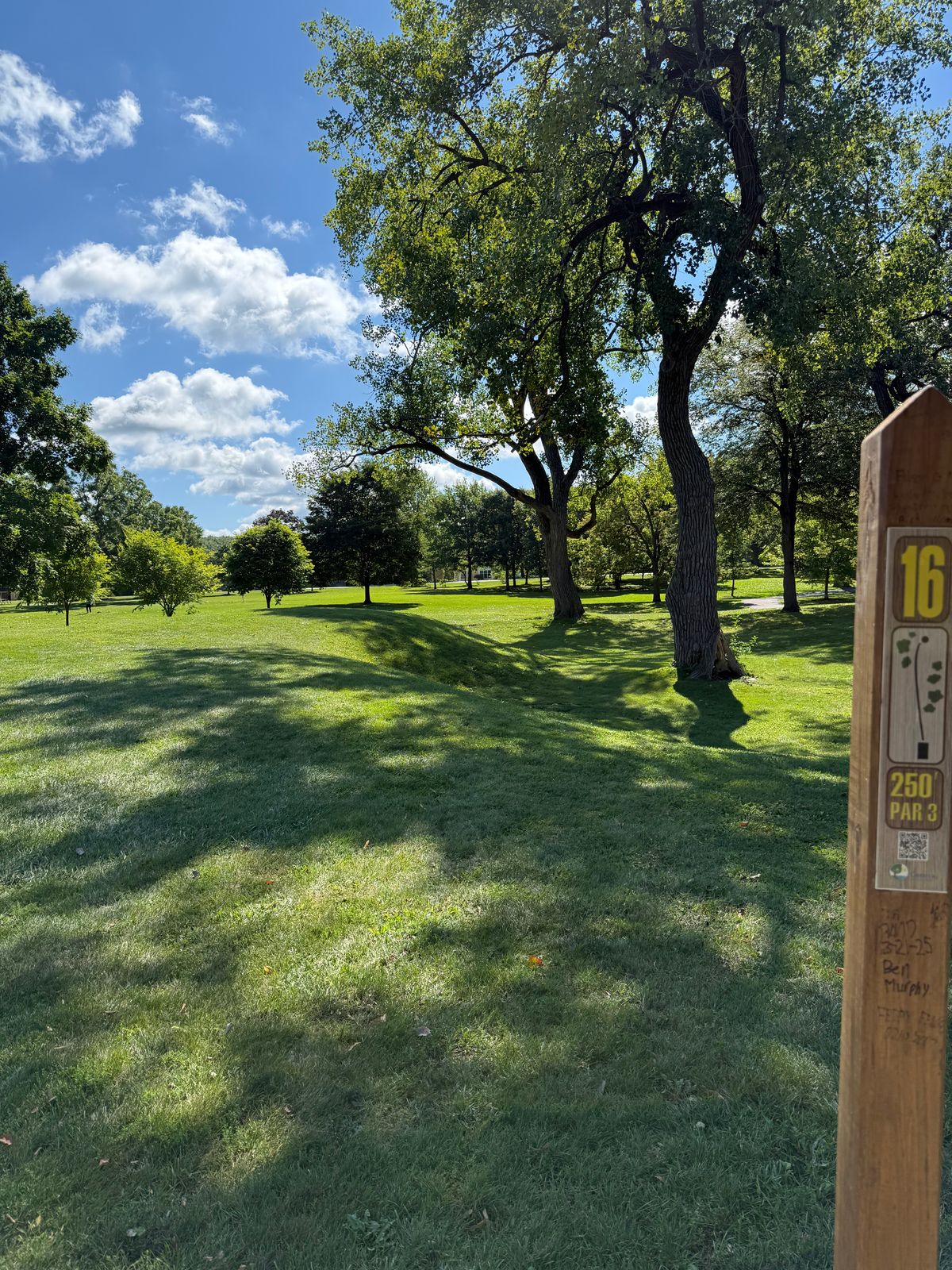 Tee 16