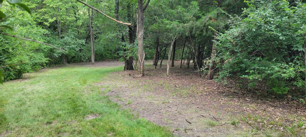 Halfway down 3's fairway, hard dog leg to the right to get to the basket.