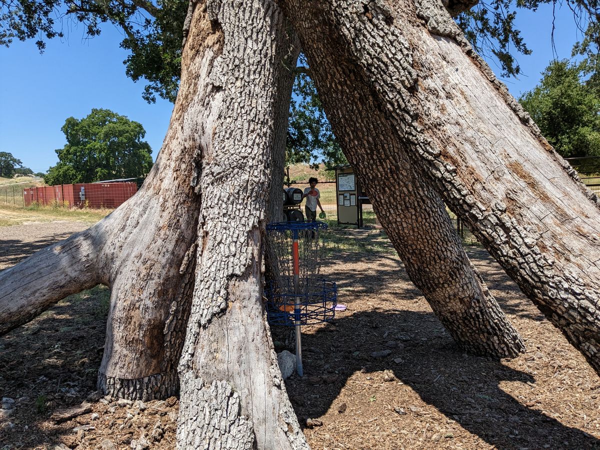 Hole 19