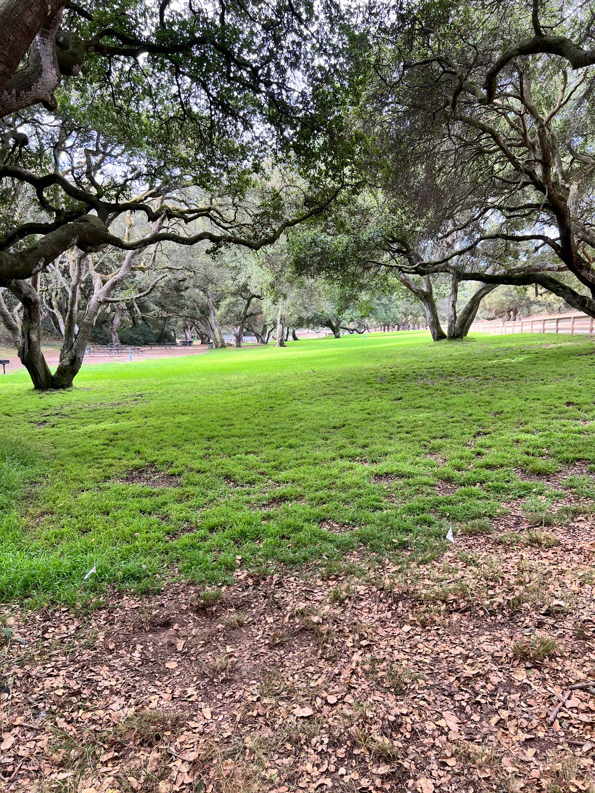 Hole 12 from the tee pad.