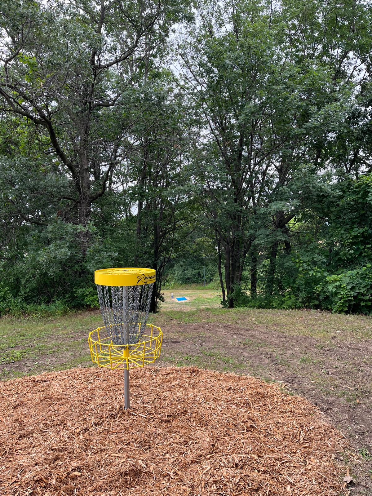 7 looking back at tee