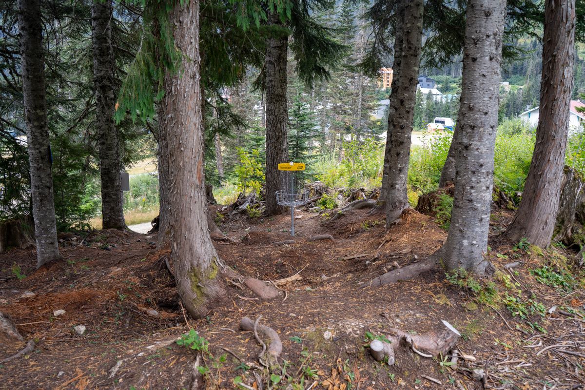Hole 8 green