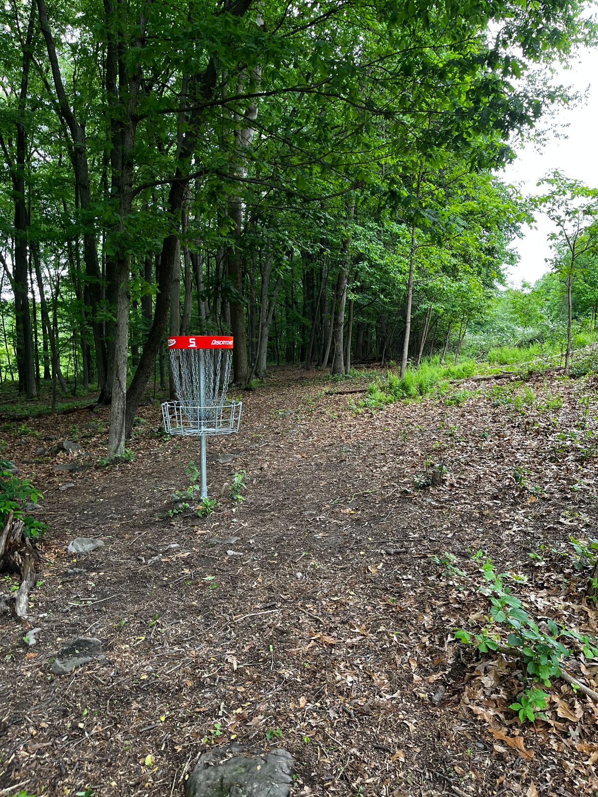 Hole 5 red green