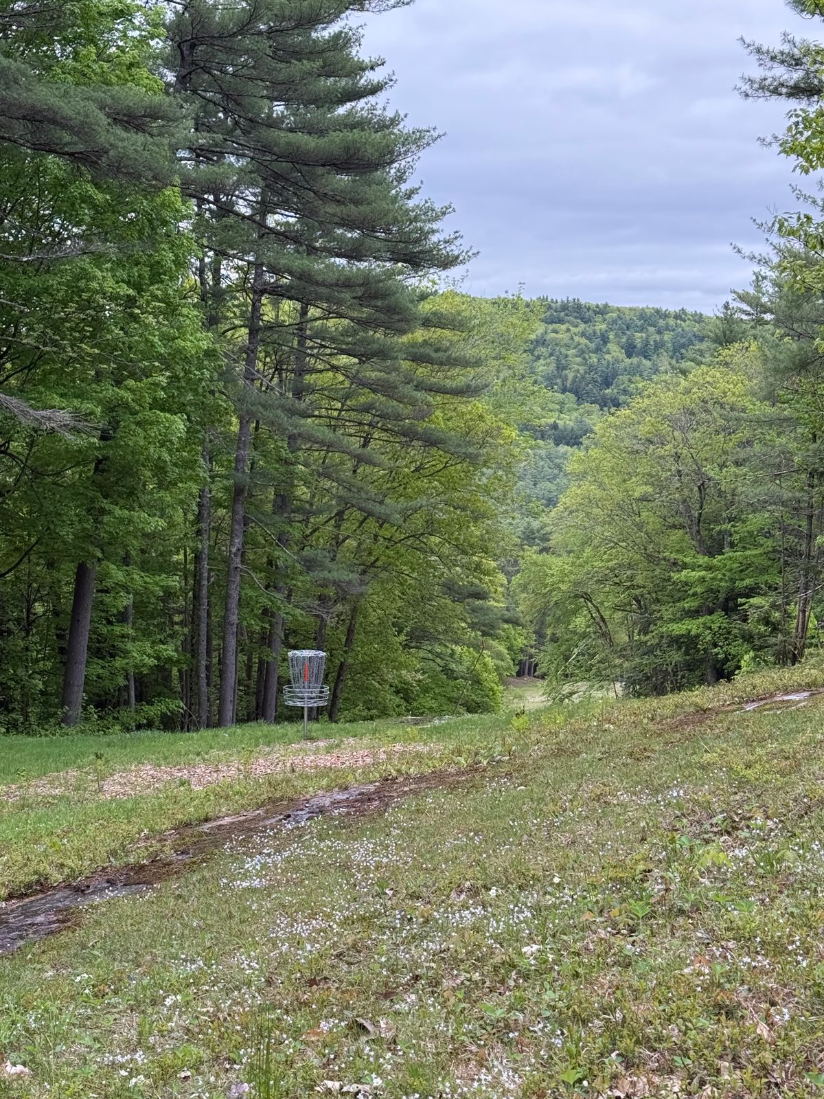 Hole 16 Green