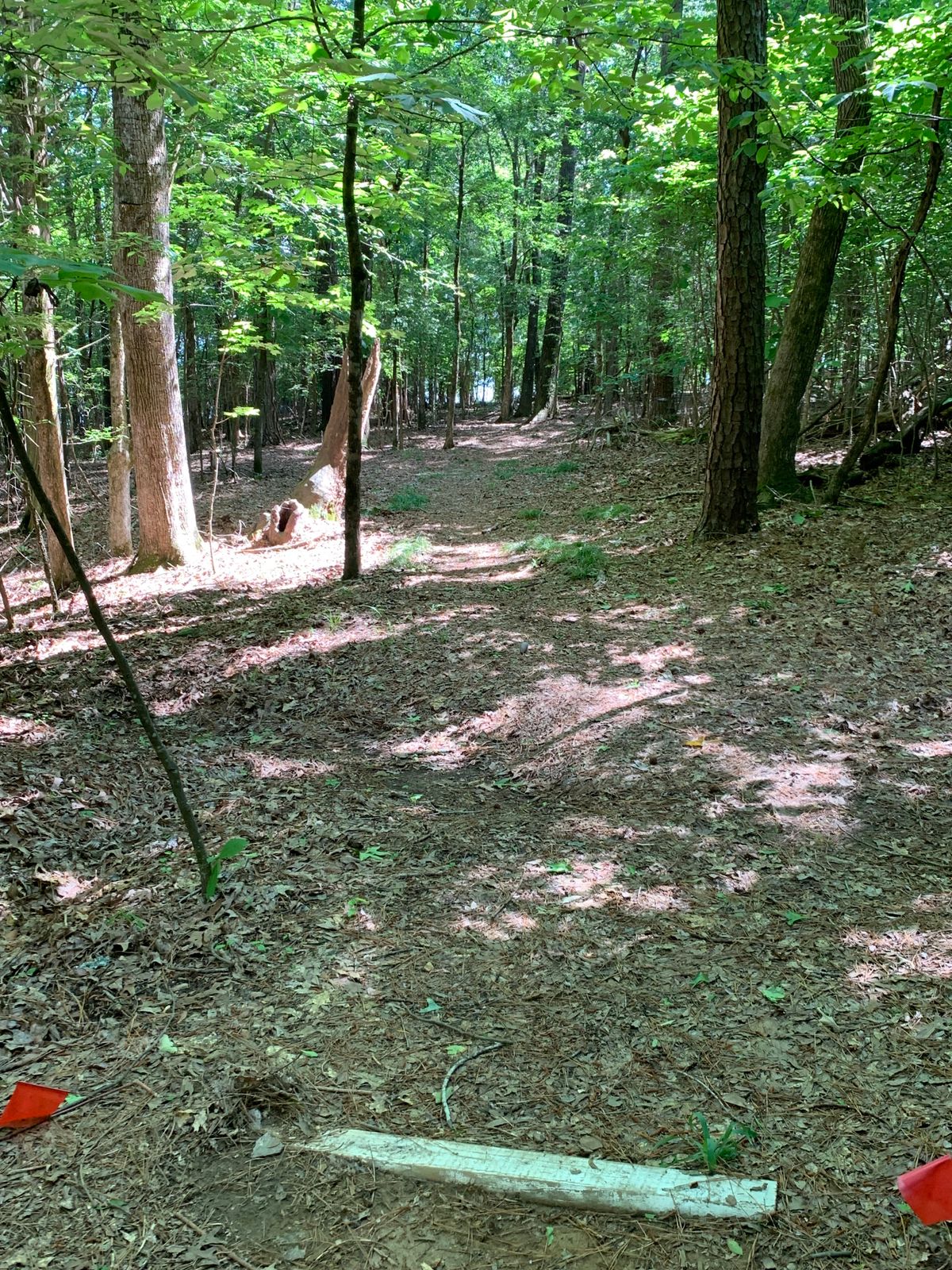 Hole 13
