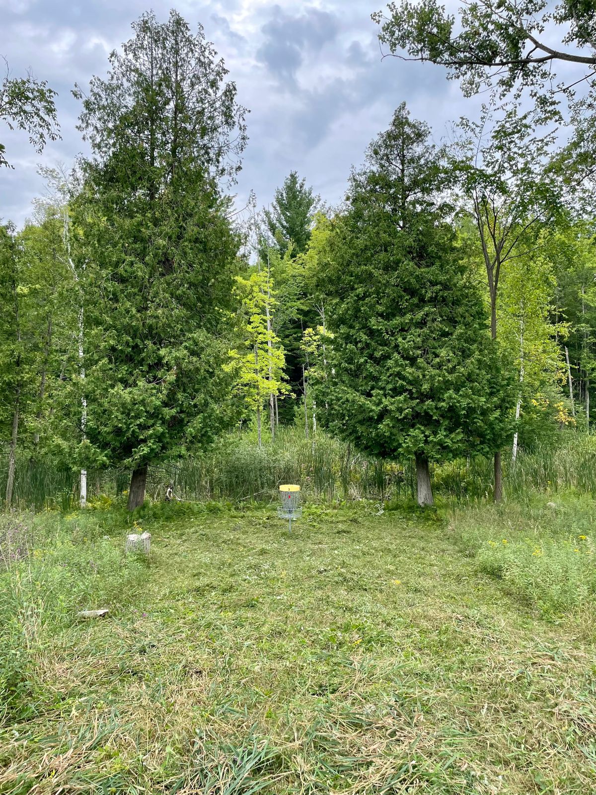 Hole 3 green

“Between Two Ferns”
