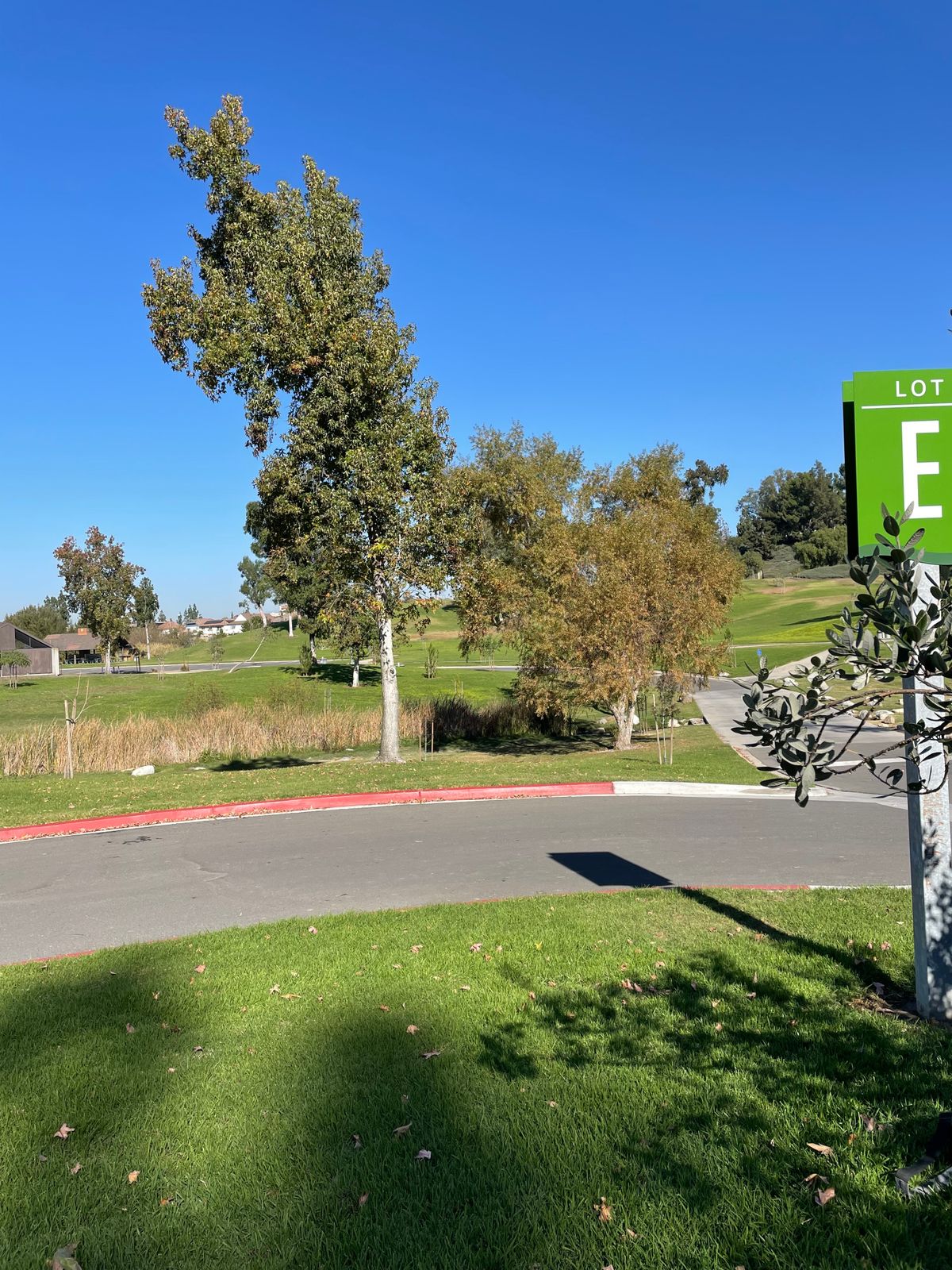 Hole 7 tee pad.