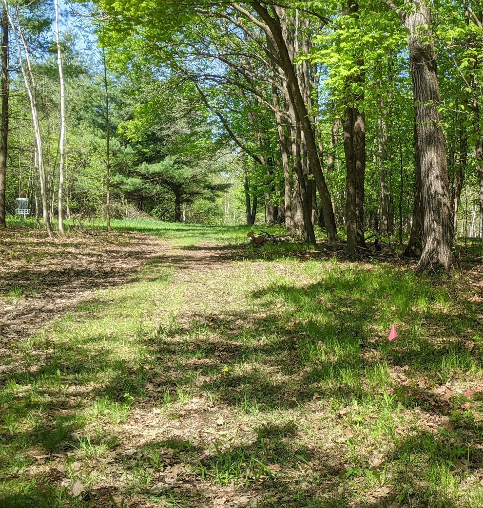 Hole 8