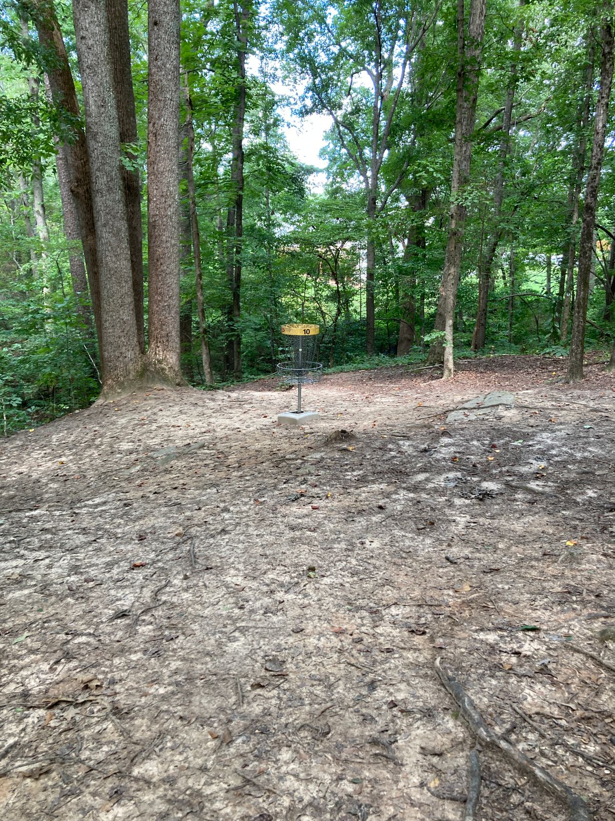 Hole 10 - basket