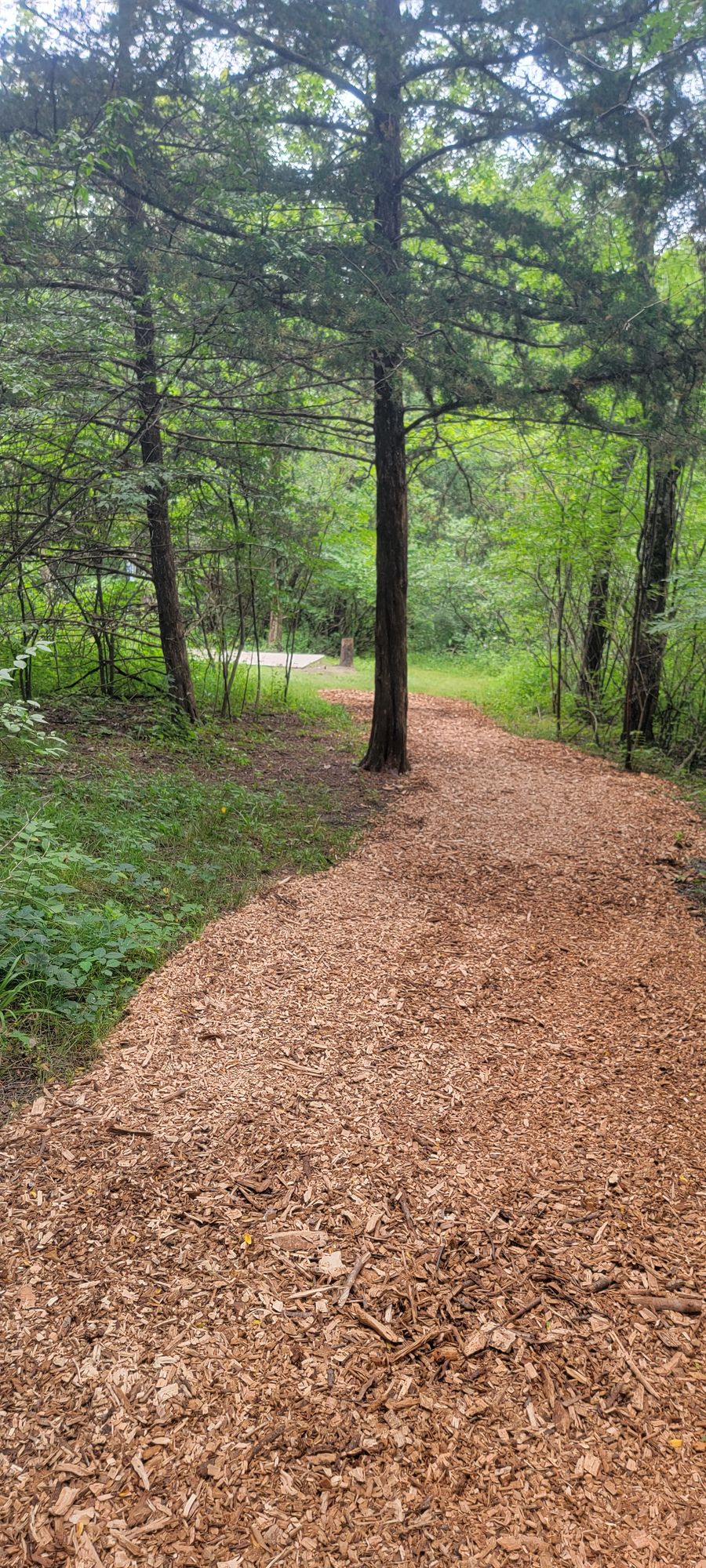 Further down the path and closer to 10's tee pad.
