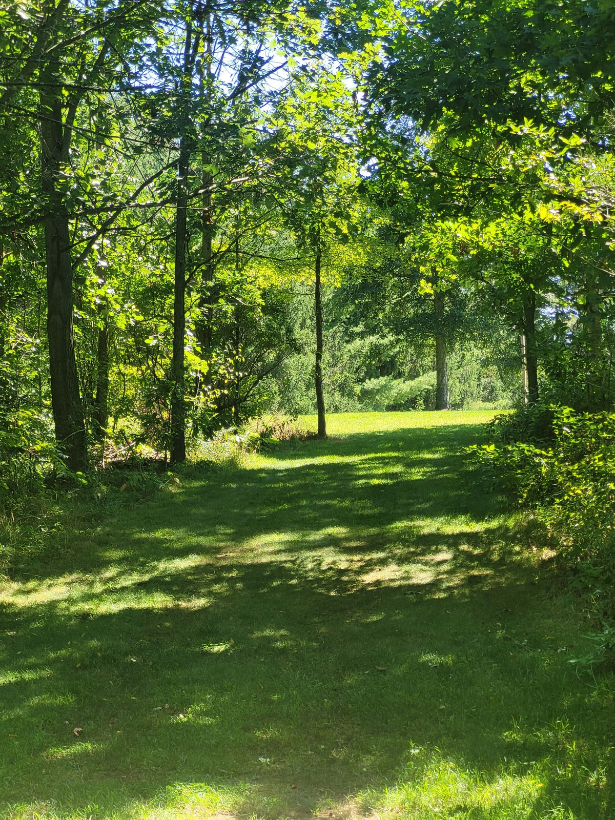 Hole 5 fairway