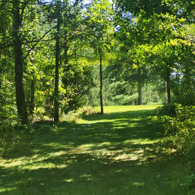 Hole 5 fairway