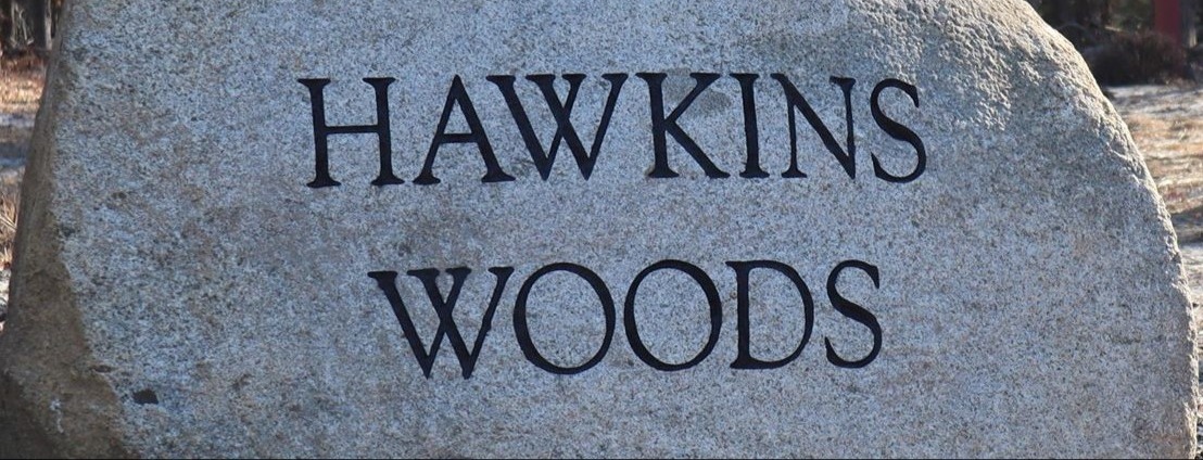 Hawkins Woods 9-hole Flex League