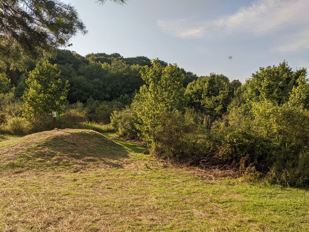 A wider view of hole 7's elevated tee pad.