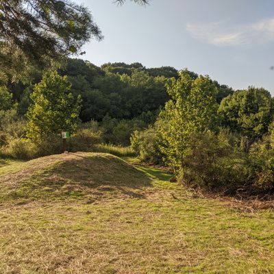 A wider view of hole 7's elevated tee pad.