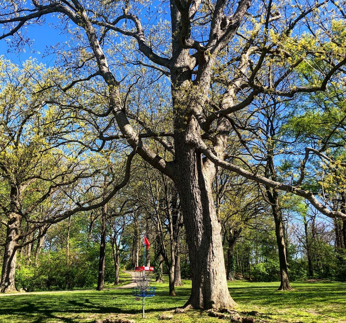 Hole 11 (I think)