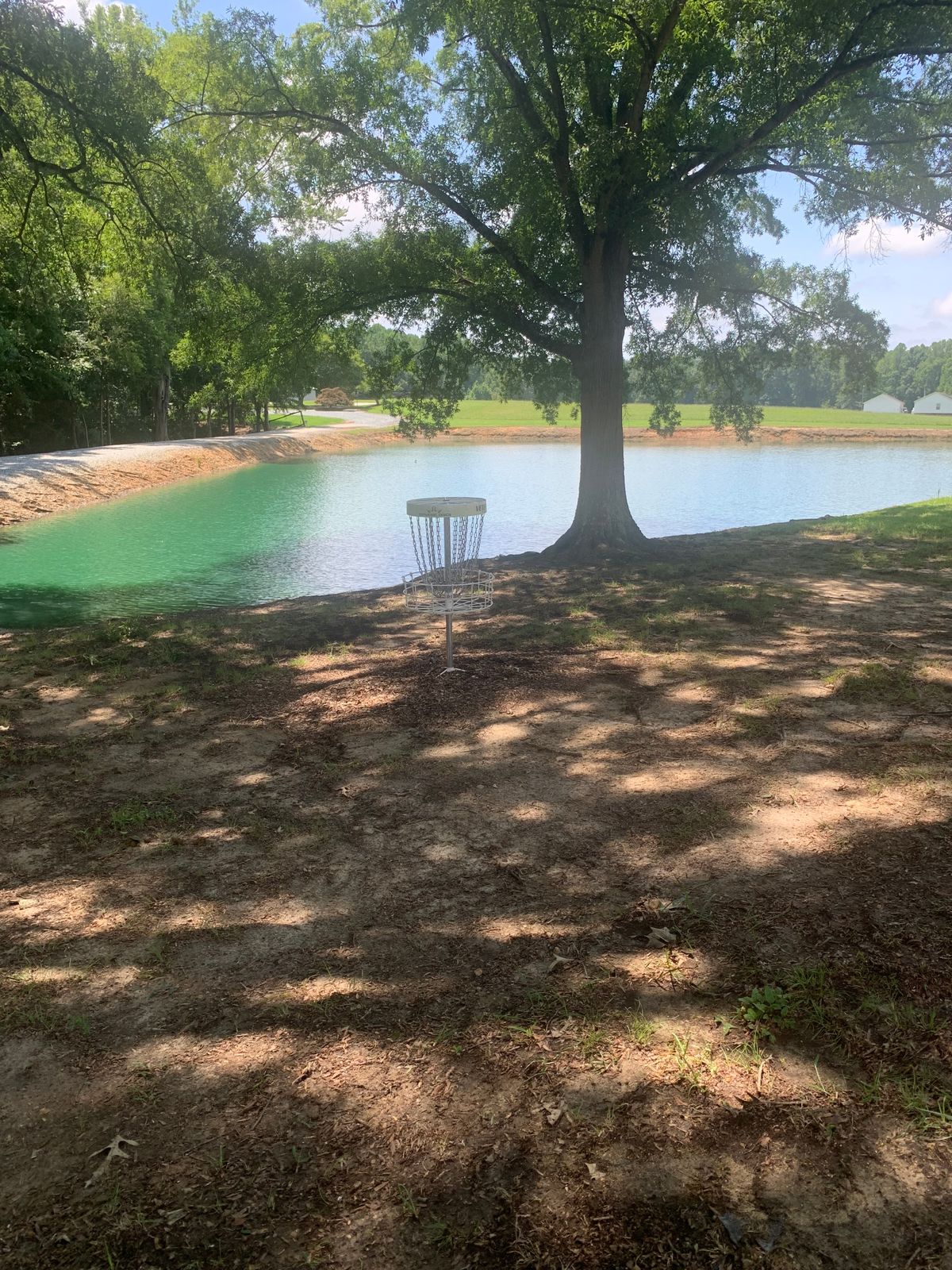 Hole 10 Basket. 