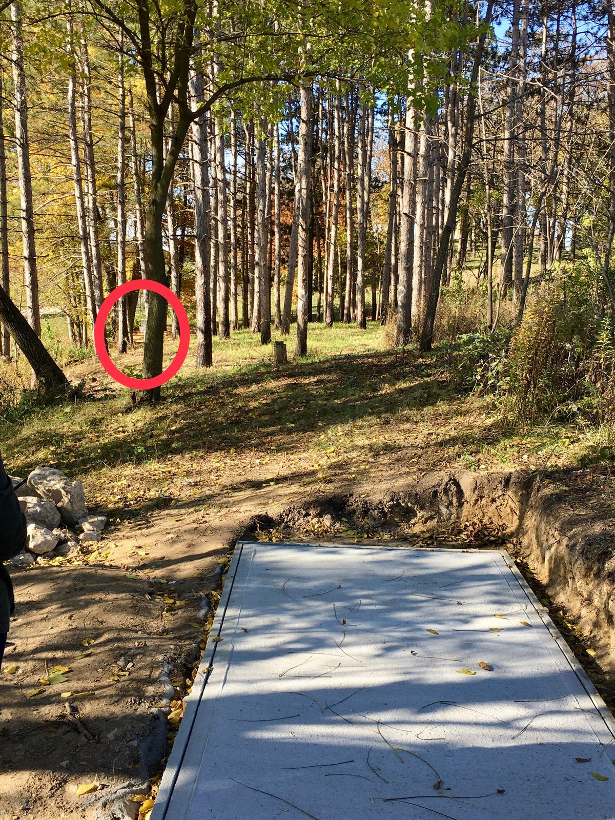 Hole 8 “ few holes in fairway after tee pad”