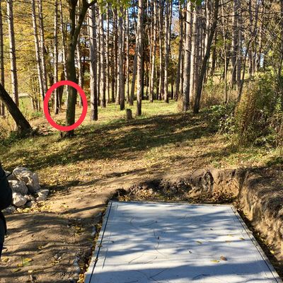 Hole 8 “ few holes in fairway after tee pad”