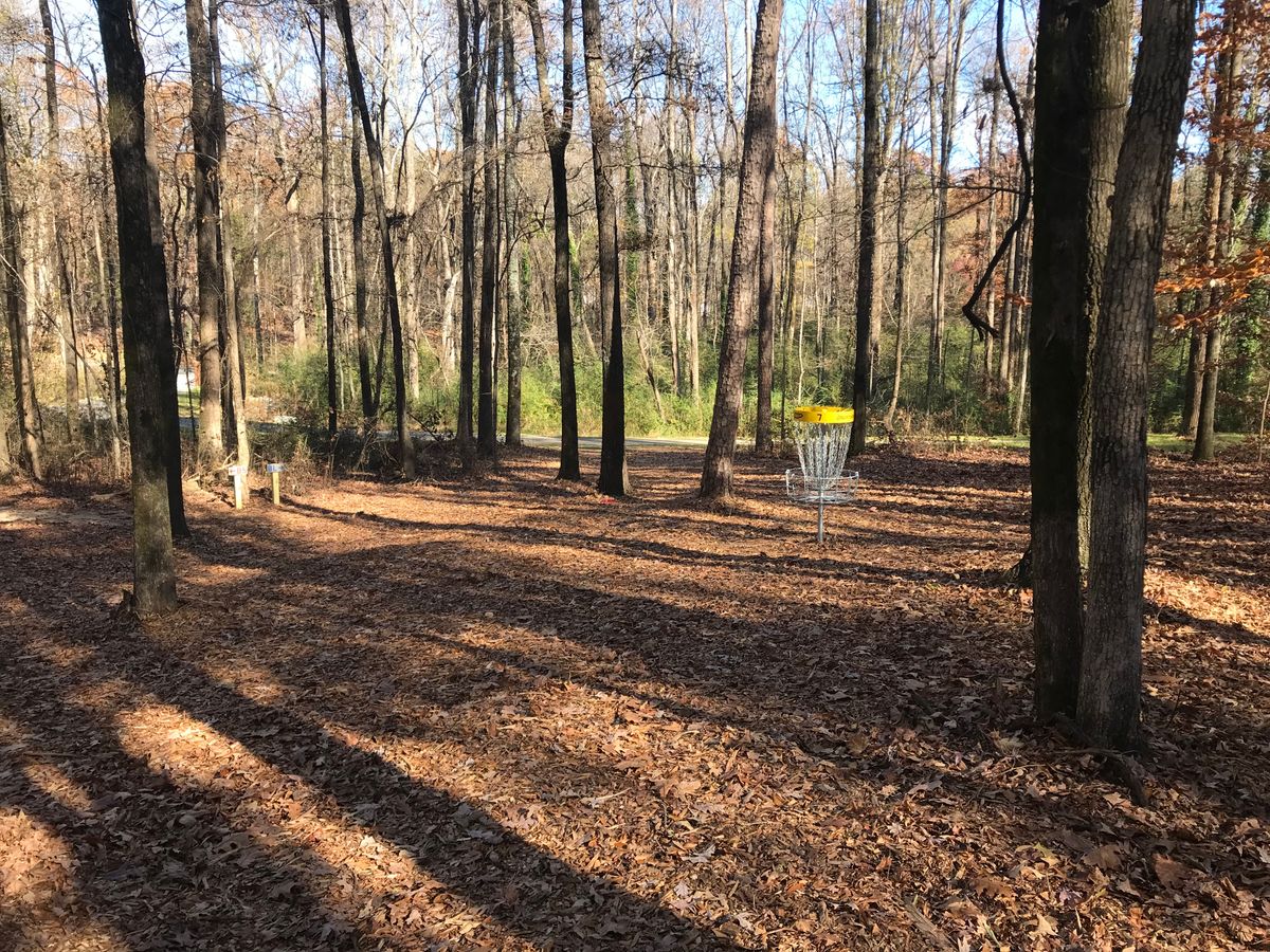 Hole 7 basket