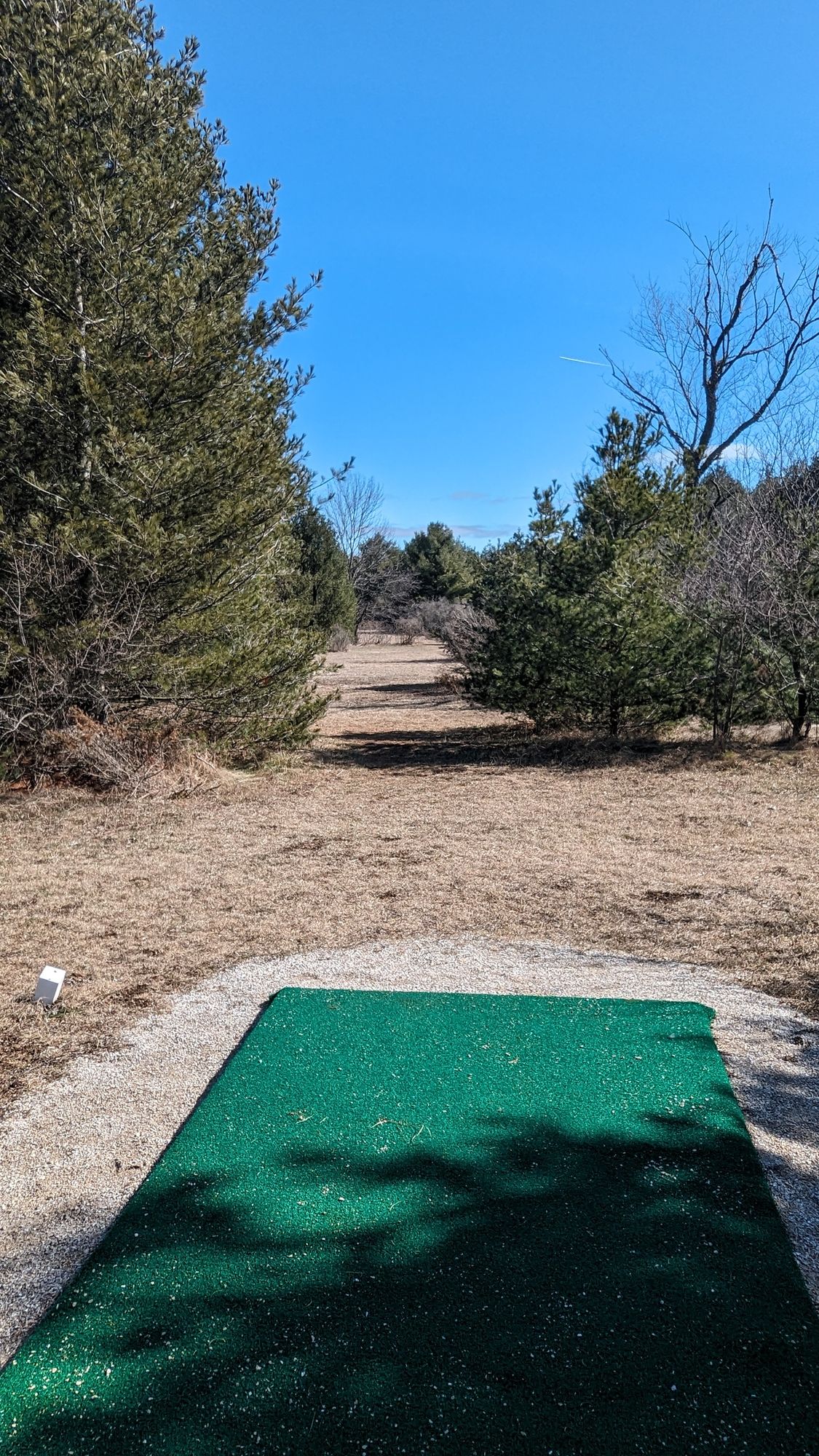 Hole 7-basket to right of farthest pine tree in center of picture