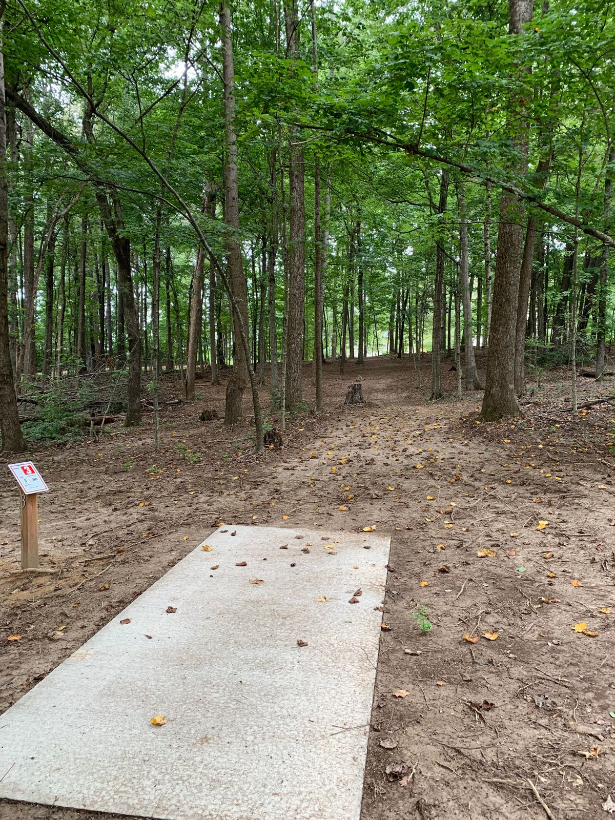 Hole 3 tee.