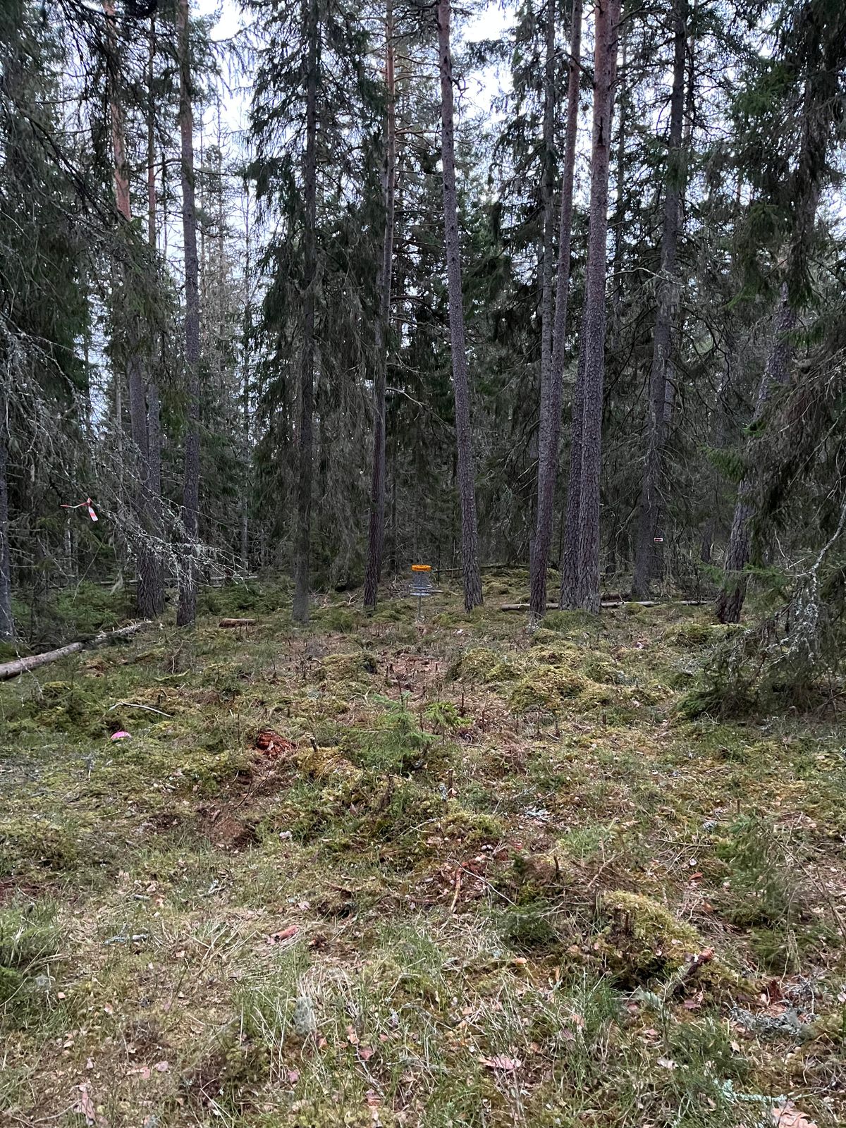 Korg hål 8