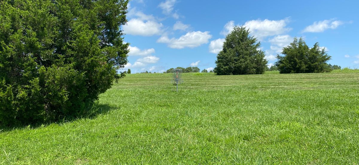 15 green