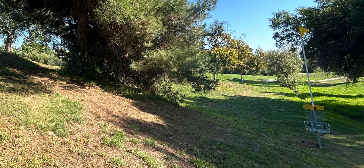 A8- Par 4- 490ft. Basket to the right In the valley.